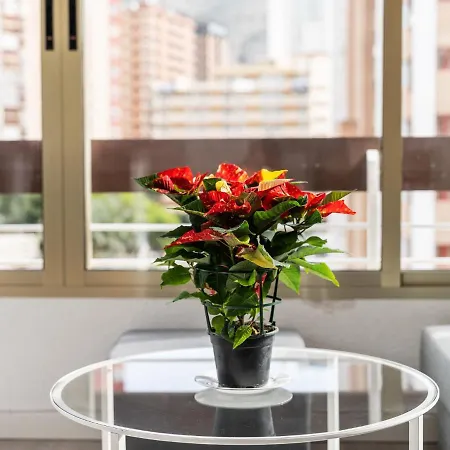 Belvilla By Oyo Apartment Benidorm